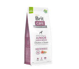 Brit Care Sustainable Junior Large Breed Chicken&Insect сухой корм для собак крупных пород, 12 кг цена и информация | Сухой корм для собак | kaup24.ee