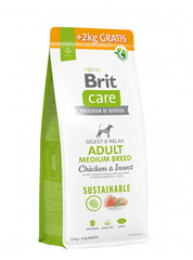 Brit Care Sustainable Adult Medium Breed Chicken&Insect  сухой корм для собак среднего размера, 12+2 кг цена и информация | Сухой корм для собак | kaup24.ee