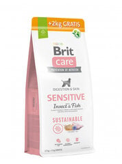 Brit Care Sustainable Sensitive Insect&Fish сухой корм для собак с проблемами кожи или чувствительным пищеварением, 12+2 кг цена и информация | Сухой корм для собак | kaup24.ee