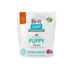 Brit Care Hypoallergenic Puppy Lamb гипоаллергенный сухой корм для щенков., 1 кг цена и информация | Сухой корм для собак | kaup24.ee