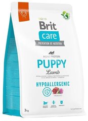 Brit Care Hypoallergenic Puppy Lamb hüpoallergeenne kuivtoit kutsikatele, 3 kg hind ja info | Kuivtoit koertele | kaup24.ee