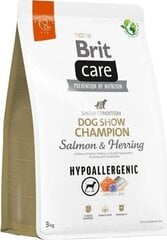 Brit Care Hypoallergenic Dog Show Champion hüpoallergeenne kuivtoit näitustel osalevatele koertele, 3 kg hind ja info | Kuivtoit koertele | kaup24.ee