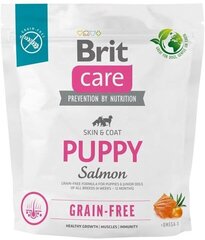 Brit Care Grain-free Puppy Salmon teraviljavaba kuivtoit kutsikatele, 1 kg hind ja info | Kuivtoit koertele | kaup24.ee