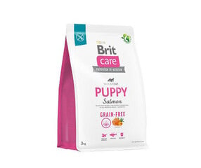 Brit Care Grain-free Puppy Salmon teraviljavaba kuivtoit kutsikatele, 3 kg hind ja info | Kuivtoit koertele | kaup24.ee