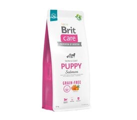 Brit Care Grain-free Puppy Salmon беззерновой сухой корм для щенков, 12 кг цена и информация | Сухой корм для собак | kaup24.ee