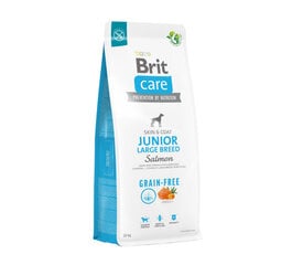 Brit Care Grain-free Junior Large Breed Salmon беззерновой сухой корм для молодых собак, 12 кг цена и информация | Сухой корм для собак | kaup24.ee