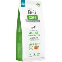 Brit Care Grain-free Adult Large Breed Salmon беззерновой сухой корм для собак крупных пород, 12 кг цена и информация | Сухой корм для собак | kaup24.ee