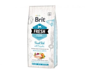 Brit Fresh Fish with Pumpkin Adult Large сухой корм для собак крупных пород, 2,5 кг цена и информация | Сухой корм для собак | kaup24.ee