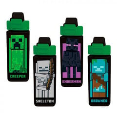 Minecraft, 500 ml hind ja info | Joogipudelid | kaup24.ee