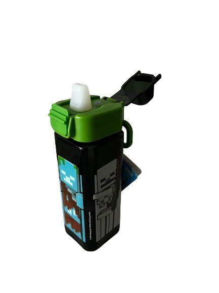 Minecraft pudel, 500 ml hind ja info | Joogipudelid | kaup24.ee