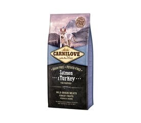 Carnilove Salmon&Turkey Puppy teraviljavaba kuivtoit kutsikatele, 12 kg hind ja info | Kuivtoit koertele | kaup24.ee