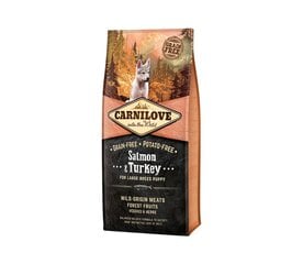 Carnilove Salmon&Turkey Large Breed Puppy беззерновой сухой корм для щенков крупных пород, 12 кг цена и информация | Сухой корм для собак | kaup24.ee