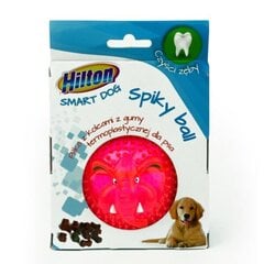 Игрушка для собак Hilton Dog spiky ball, 8 см цена и информация | Игрушки для собак | kaup24.ee