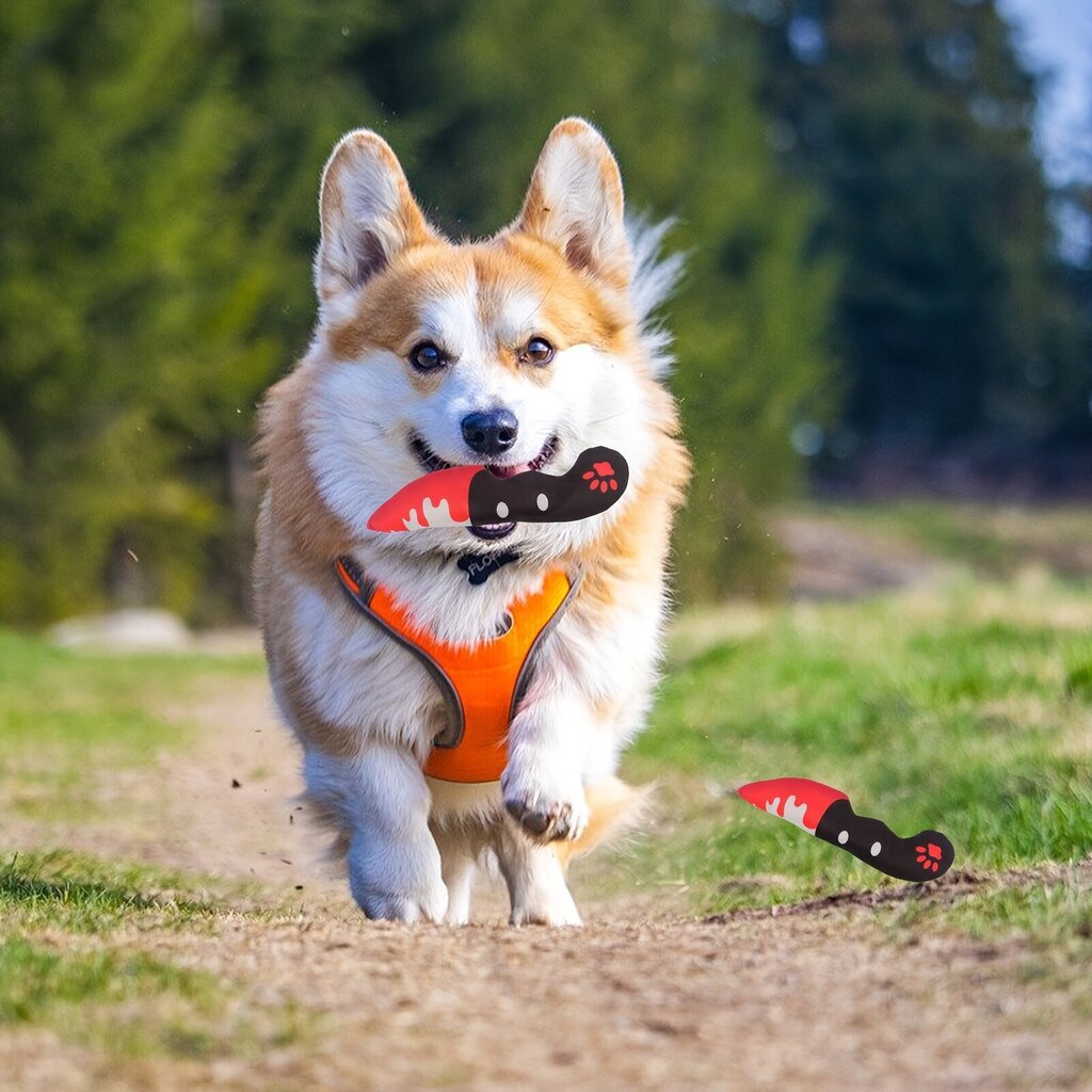 '3 suurust Nuga Koera mänguasi Palus mänguasi Originaalne Cleaver Dog Piiksuv mänguasi Nuga Kriuksuv mänguasi Lemmiklooma koera mänguasjad Nuga Pehm väikestele Keskmistele Koertele – Halloweeni koeramänguasi' hind ja info | Mänguasjad koertele | kaup24.ee