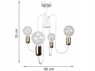 LightHome riputatav Edi hind ja info | Rippvalgustid | kaup24.ee