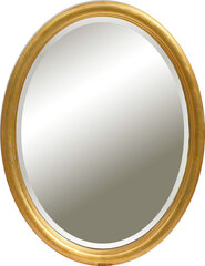 Peegel Padua, 88x68 cm, kuldne värv hind ja info | Peeglid | kaup24.ee
