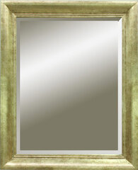 Peegel Fano, 97x77 cm, hõbe värv цена и информация | Зеркала | kaup24.ee