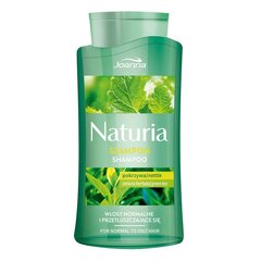 Šampoon rasustele ja normaalsetele juustele nõgese ja rohelise teega Joanna Naturia 500 ml hind ja info | Šampoonid | kaup24.ee