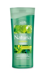 Šampoon normaalsetele ja rasustele juustele nõgese ja rohelise teega Joanna Naturia 100 ml hind ja info | Šampoonid | kaup24.ee