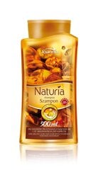 Šampoon rasustele juustele merevaigu ja biosulfuriga Joanna Naturia 500 ml цена и информация | Шампуни | kaup24.ee