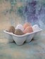 Portselanist munanõu цена и информация | Lauanõud ja kööginõud | kaup24.ee