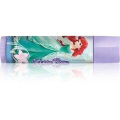 Huulepalsam Lip Smacker Disney Prinses Ariel / Berry 4 g, Calypso Berry hind ja info | Huulepulgad, -läiked, -palsamid, vaseliin | kaup24.ee