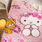 'Hello Kitty tekk - Pehme plüüsist tekk igaks aastaajaks - sobib ideaalselt voodisse, diivanisse, kontorisse, telkimiseks - Masinpestav multikas armas Kawaii tekk sünnipäevaks, jõulukink' hind ja info | Voodikatted, pleedid | kaup24.ee