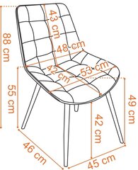 NORMAN Velvet beež samettool hind ja info | Söögitoolid, baaritoolid | kaup24.ee