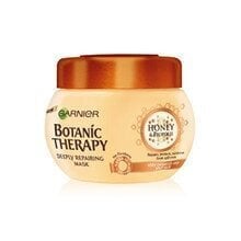 Восстанавливающая маска для волос Garnier Botanic Therapy 300 мл цена и информация | Средства для укрепления волос | kaup24.ee