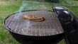 Grillrest - sõel Grill 42 x 36 cm цена и информация | Grillitarvikud ja grillnõud | kaup24.ee