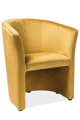 Кресло Signal Meble TM-1 Velvet, желтый цена и информация | Кресла | kaup24.ee