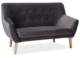 Diivan Nordic 2 Velvet, hall цена и информация | Диваны | kaup24.ee