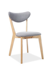 4-tooli komplekt Brando, tamm/hall värv hind ja info | Söögitoolid, baaritoolid | kaup24.ee