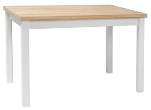 Стол Signal Meble Adam DB, 60x100 см, дуб/белого цвета цена и информация | Кухонные и обеденные столы | kaup24.ee