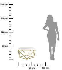 Кофейный столик, белый цена и информация | Журнальные столики | kaup24.ee