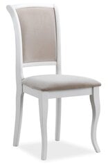 2-tooli komplekt MN-SC, valge/beež värv hind ja info | Söögilaua toolid, köögitoolid | kaup24.ee