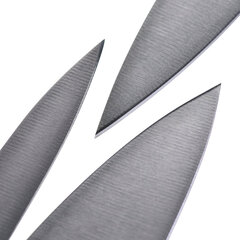 ZWILLING 36130-005-0 Набор кухонных столовых приборов/ножей 2 шт. цена и информация | Ножи и аксессуары для них | kaup24.ee