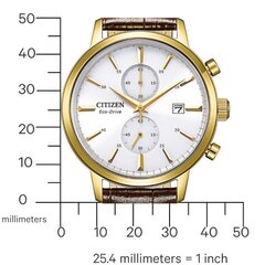 Мужские часы Citizen Eco-Drive CA7062-15A цена и информация | Мужские часы | kaup24.ee