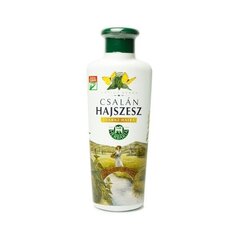 Nõgeseekstraktiga juuksevedelik juuste väljalangemise kaitseks Banfi Herbaria Csalan Hajszesz 250 ml цена и информация | Маски, масла, сыворотки | kaup24.ee