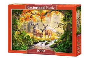 Пазл Castorland Puzzle Royal Family, 1000 д. цена и информация | Пазлы | kaup24.ee