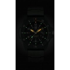 Мужские часы Luminox XS.3601 цена и информация | Мужские часы | kaup24.ee