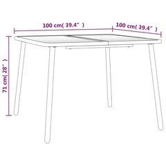 aialaud, antratsiithall, 100 x 100 x 71 cm, teras hind ja info | Aialauad | kaup24.ee