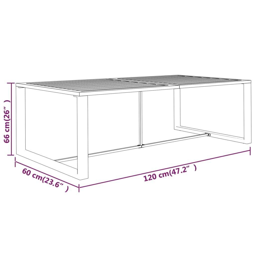 õue söögilaud, antratsiithall, 120x60x66 cm alumiinium цена и информация | Aialauad | kaup24.ee