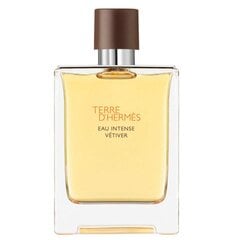 Парфюмерная вода для мужчин Hermes Terre d'Hermes Intense Vetiver EDP 50 мл цена и информация | Мужские духи | kaup24.ee