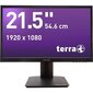 TERRA 3030030 hind ja info | Monitorid | kaup24.ee