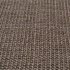 vaip naturaalne sisal 80x350 cm, pruun hind ja info | Vaibad | kaup24.ee