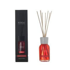Lõhnapulgad Millefiori Natural Fragrance Mela &amp; Cannella 250 ml цена и информация | Ароматы для дома | kaup24.ee