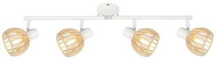 Candellux потолочный светильник Atarri цена и информация | Потолочные светильники | kaup24.ee
