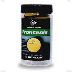 Tennisepallid Dunlop TB FRONT B 2 PET 305930 Kollane hind ja info | Lautennise reketid ja reketi kotid | kaup24.ee