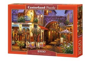 Пазл "Evening in Provence" Castorland, 1000 д. цена и информация | Пазлы | kaup24.ee